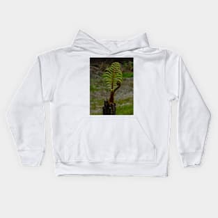 The Tree Fern Kids Hoodie